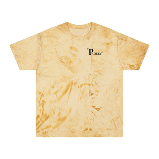 "Prolly" Wordmark GARMENT DYED UNISEX CAMICIA